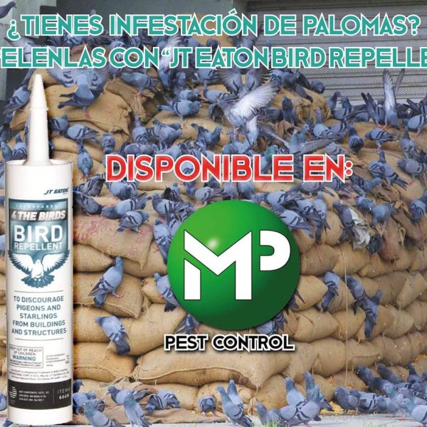myp-pest-control