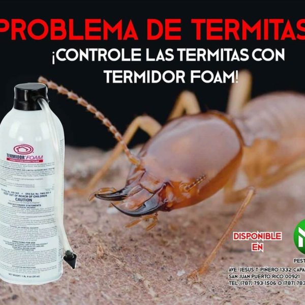 myp-pest-control